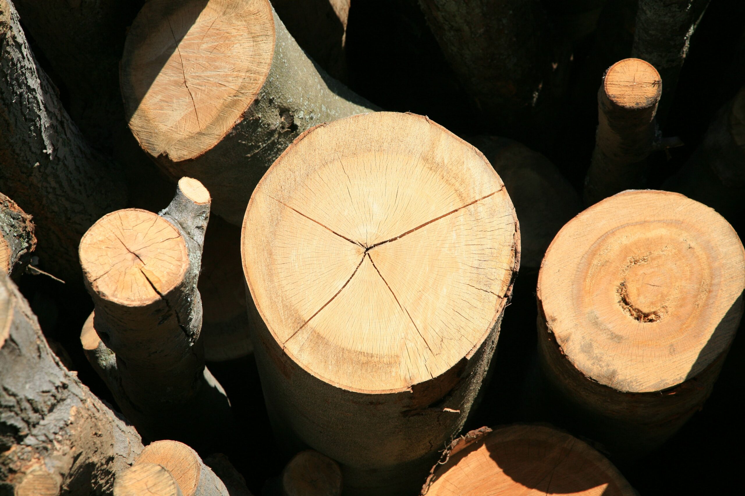 Logs